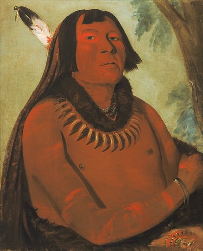 Mah-táhp-ta-a, Snelt door het midden, een dappere door George Catlin