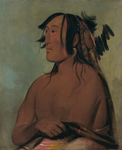 Pa-ris-ka-roó-pa, Twee kraaien, de jongste door George Catlin