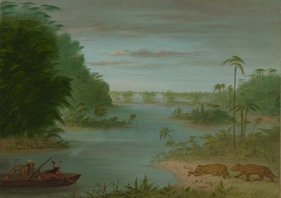 Pont de Palmiers en Tijgerjacht, 1854-1869 door George Catlin