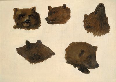 Portretten van twee grizzlyberen, uit het leven, 1839-1840 door George Catlin