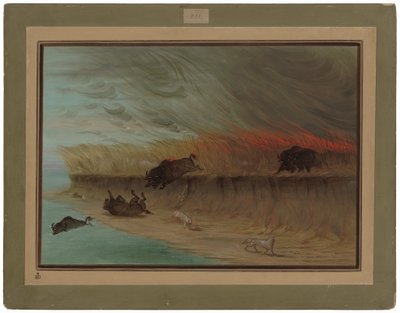 Brandende Prairie Weiden door George Catlin