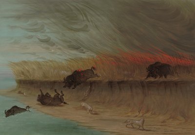 Brandende prairievelden, 1861-1869 door George Catlin