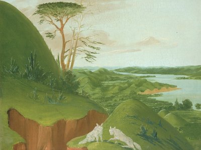  door George Catlin