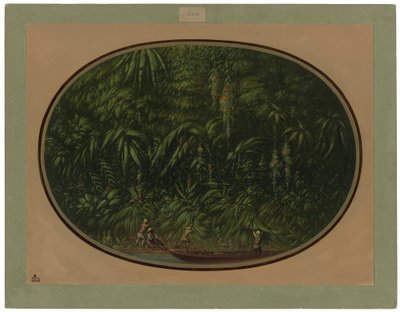 Kust van de Trombetas door George Catlin