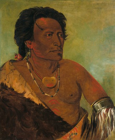 Sky-se-ró-ka, tweede stamhoofd door George Catlin