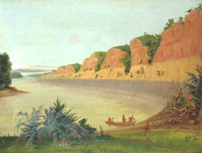 Zuidkant van Buffeleiland, met buffelbessen op de voorgrond door George Catlin