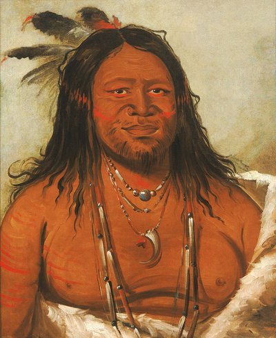 Ta-wáh-que-nah, Berg van Rotsen, Tweede Stamhoofd door George Catlin