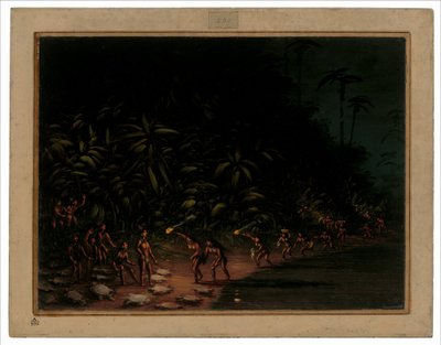 Schildpaddenjacht door George Catlin