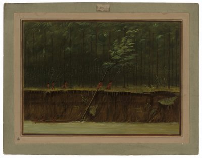 Uitzicht op de Beneden-Mississippi door George Catlin
