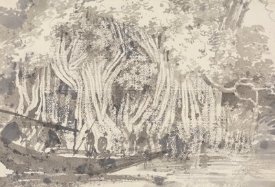 Een Pipul-boom door George Chinnery