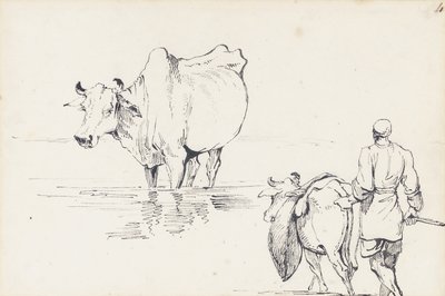 Studies van Indiase vee door George Chinnery