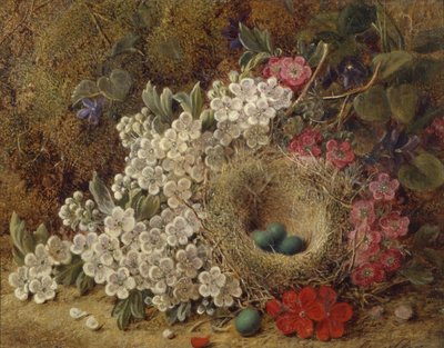 Een vogelnest en bloesem op een mosrijke oever door George Clare