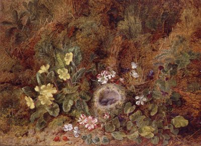 Stilleven met Vogelnest en Wilde Bloemen door George Clare
