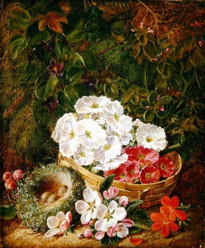 Stilleven van vogelnest, primula