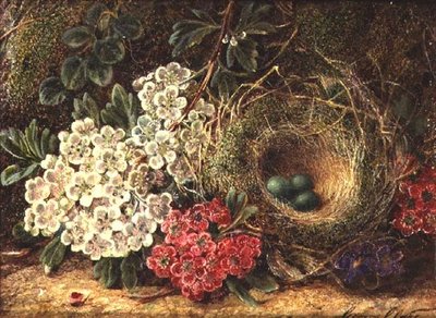 Stilleven met Vogelnest door George Clare