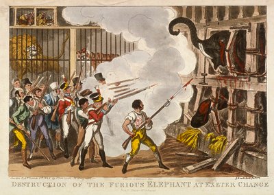 Vernietiging van de woedende olifant bij Exeter Change, 1826 door George Cruikshank