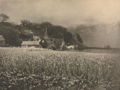 Het Uienveld - 1890 door George Davison