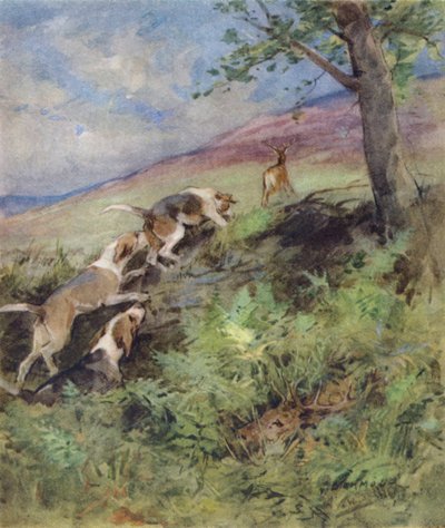 Illustratie voor The Story of a Red Deer door George Denholm Armour