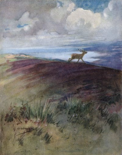 Illustratie voor The Story of a Red Deer door George Denholm Armour