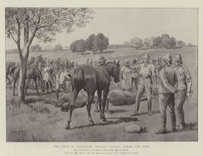 Het Beleg van Ladysmith, het doden van cavaleriepaarden voor voedsel door George Derville Rowlandson