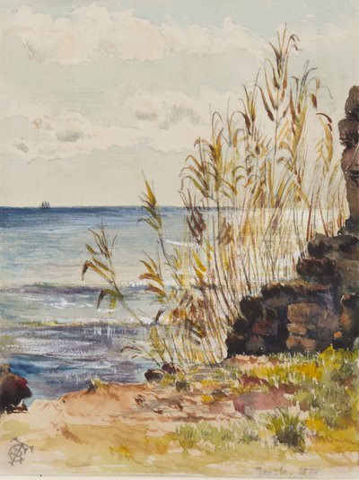 In San Remo met uitzicht op de Middellandse Zee, 10 januari 1878 door George Douglas Tinling