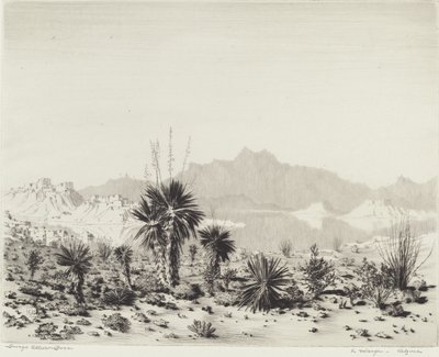 Een luchtspiegeling, Arizona door George Elbert Burr