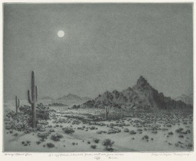 Arizona nacht door George Elbert Burr