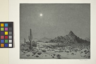 Arizona nacht door George Elbert Burr