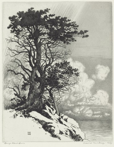 Kust bij Monterey, Californië door George Elbert Burr