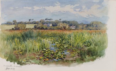 Criccieth, N Wales door George Elbert Burr