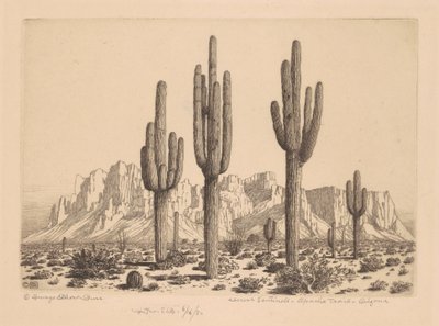 Woestijnwachters, Apache Trail, Arizona door George Elbert Burr
