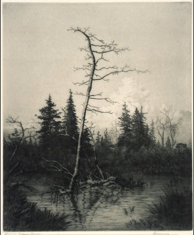 Avond door George Elbert Burr