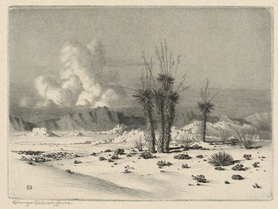 Avond, Arizona door George Elbert Burr
