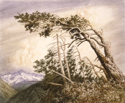 Home of the Winds [Nr. 2] door George Elbert Burr