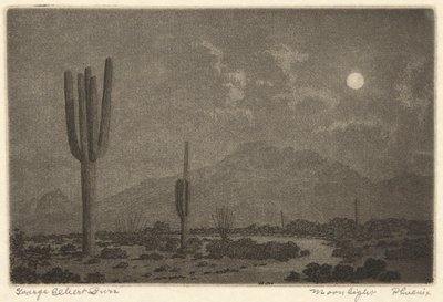 Maanlicht-Foenix door George Elbert Burr