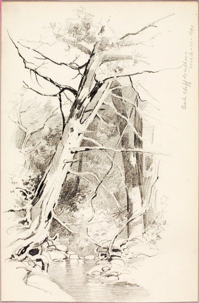 Oak Cliff, Dallas door George Elbert Burr