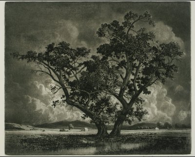 Oud Cottonwoods, Colorado door George Elbert Burr