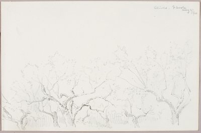 Olijven--Fiesole door George Elbert Burr