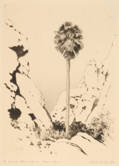 Palm Canyon (nr.1) door George Elbert Burr