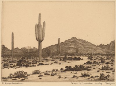 Weg naar Paradise Valley, Arizona door George Elbert Burr