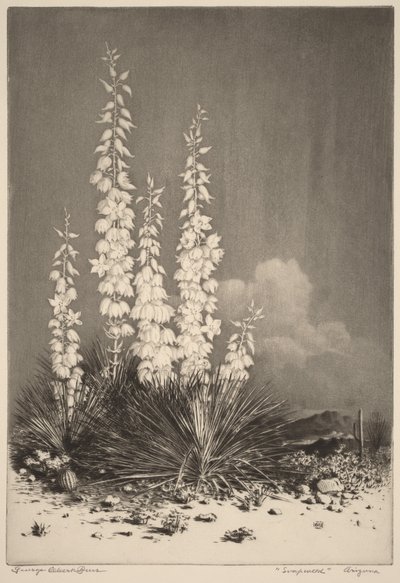  door George Elbert Burr