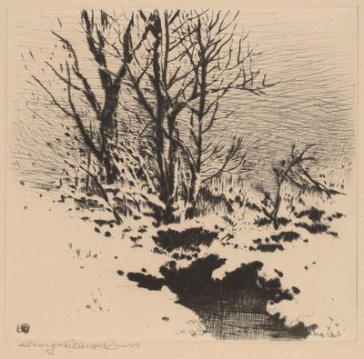 De Eerste Sneeuw (nr.2) door George Elbert Burr