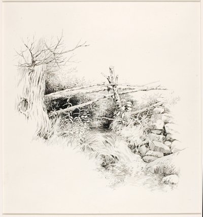 Zonder titel (Bosstroom) door George Elbert Burr
