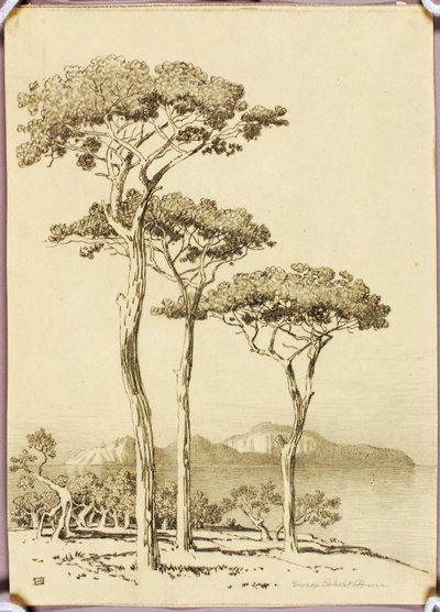  door George Elbert Burr