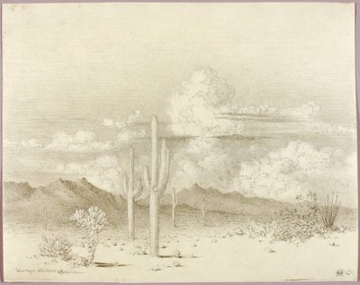 Zonder titel (overdrachtstekening voor Avond, Paradise Valley, Arizona) door George Elbert Burr