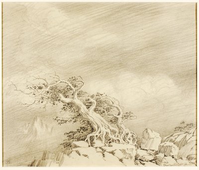 Zonder titel (transfer tekening voor Storm bij Timberline) door George Elbert Burr