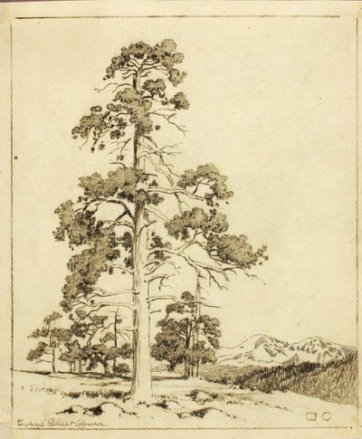 Zonder titel (overdrachtstekening voor druk) door George Elbert Burr