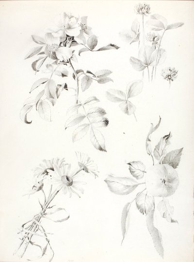 Zonder titel door George Elbert Burr