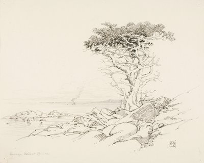 Zonder titel door George Elbert Burr