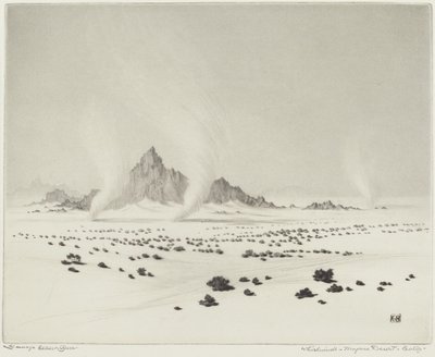 Wervelwinden, Mojavewoestijn, Californië (nr.3) door George Elbert Burr